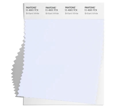 PANTONE 11-4001tcx PANTONE 11-4001tcx